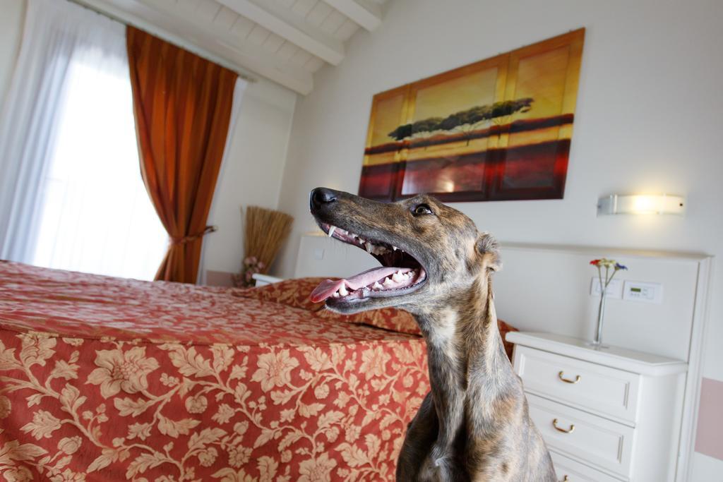 Sweet Home Treviso Bagian luar foto